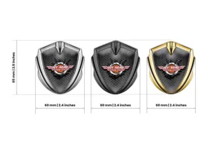 Badge Marchio Auto Edizione Rara